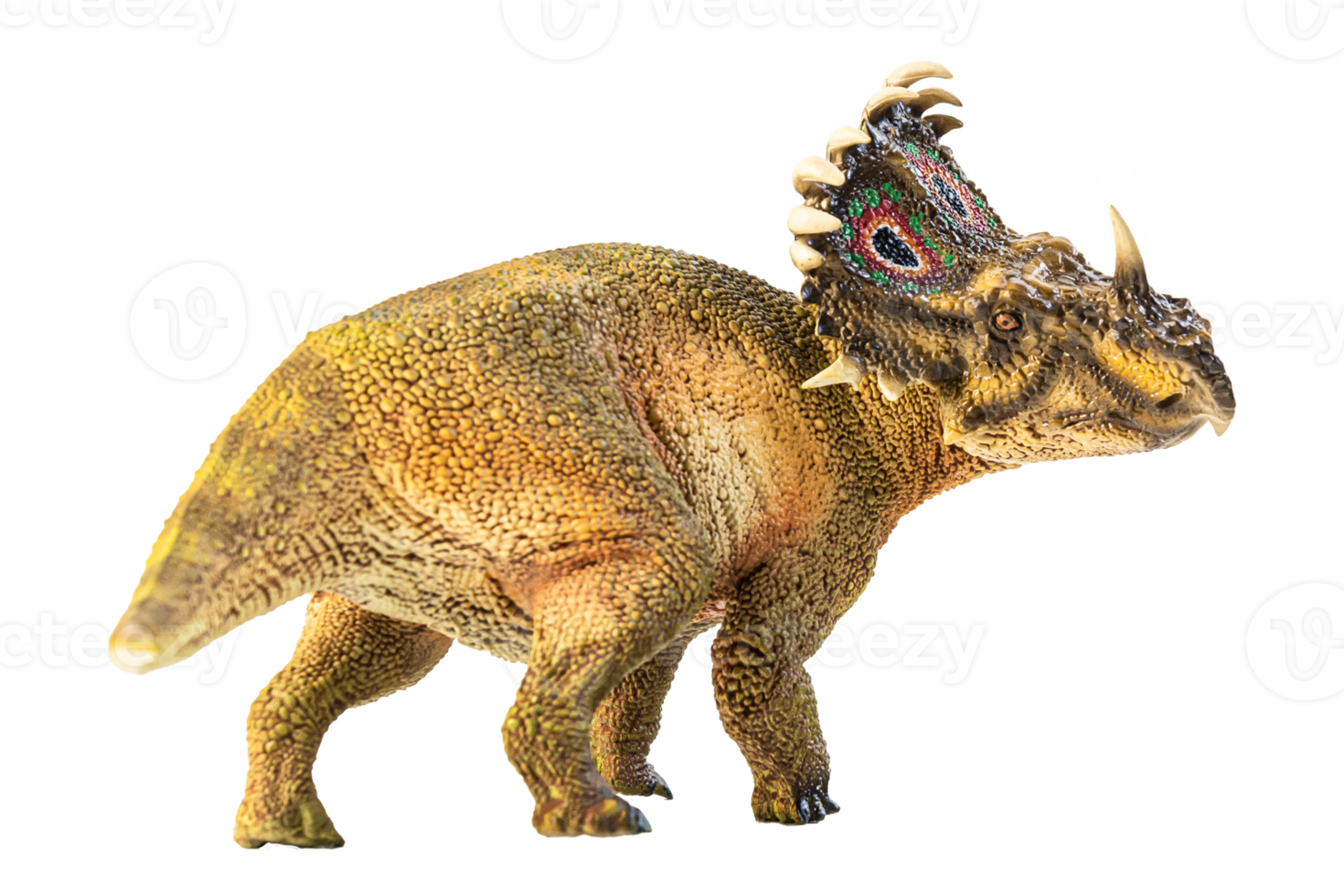 SINOCERATOPS  , dinosaur on white background . png