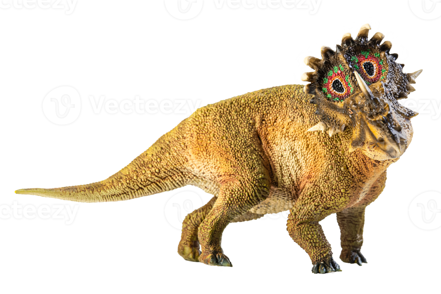 SINOCERATOPS  , dinosaur on white background . png