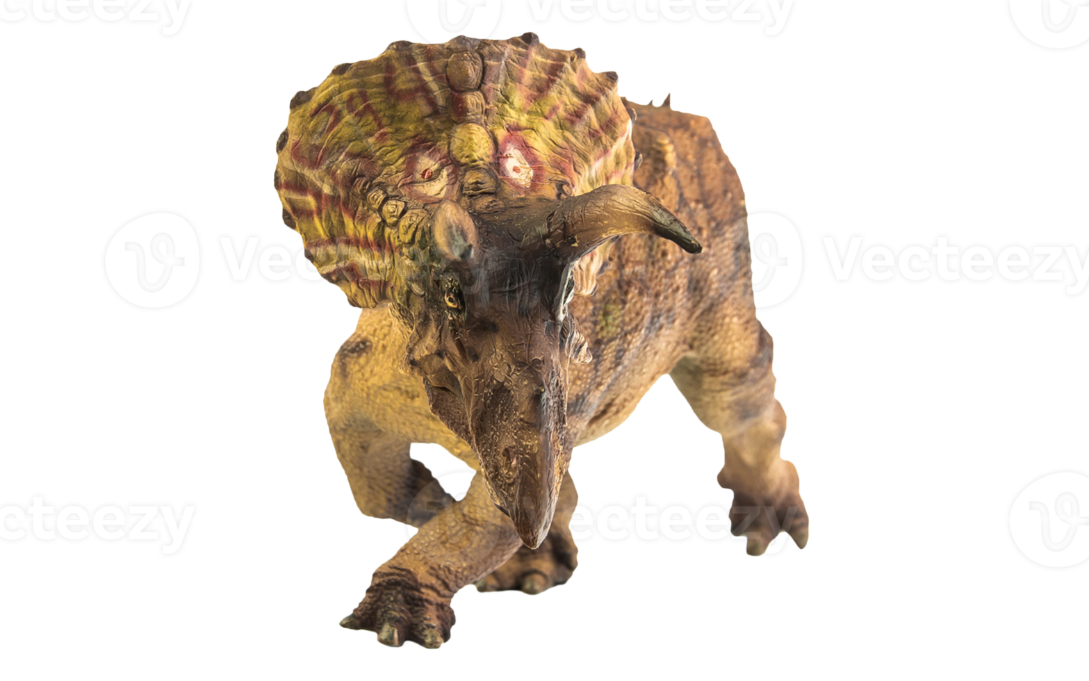 Triceratops  , dinosaur on white  background . Clipping path png