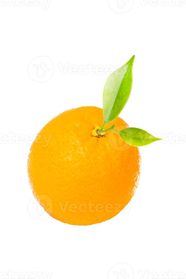 Orange fruit on white background png