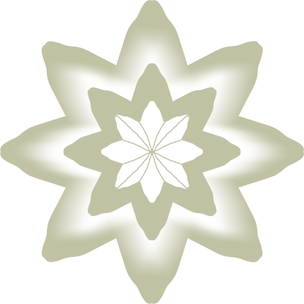 star with flower png