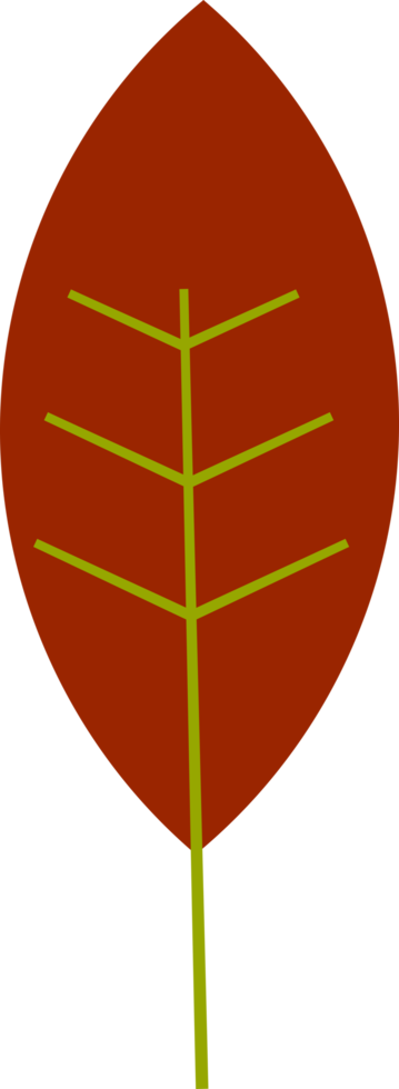 leaf icon element png
