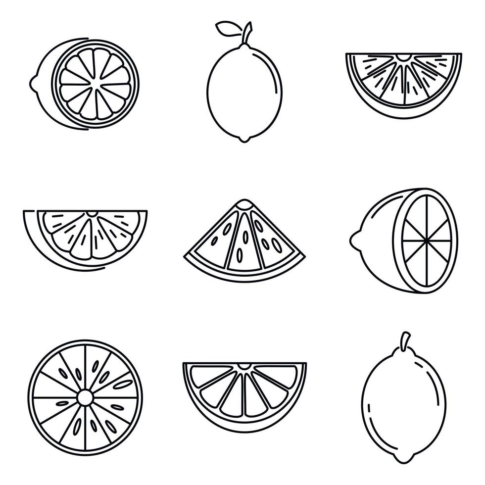 Tropical lime icons set, outline style vector