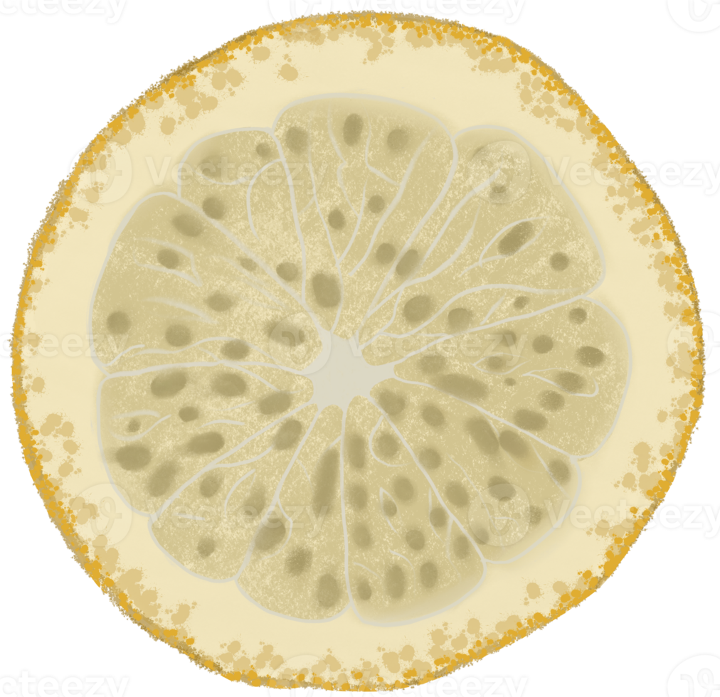 Slice of yellow lemon png