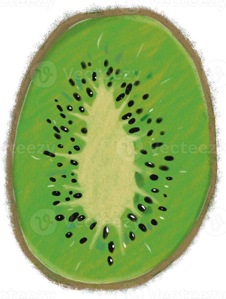 hälften av en mogen, ljus kiwi handritad png