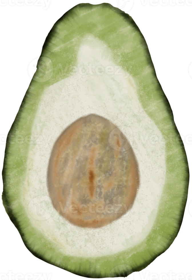 metade de um abacate maduro desenhado à mão png