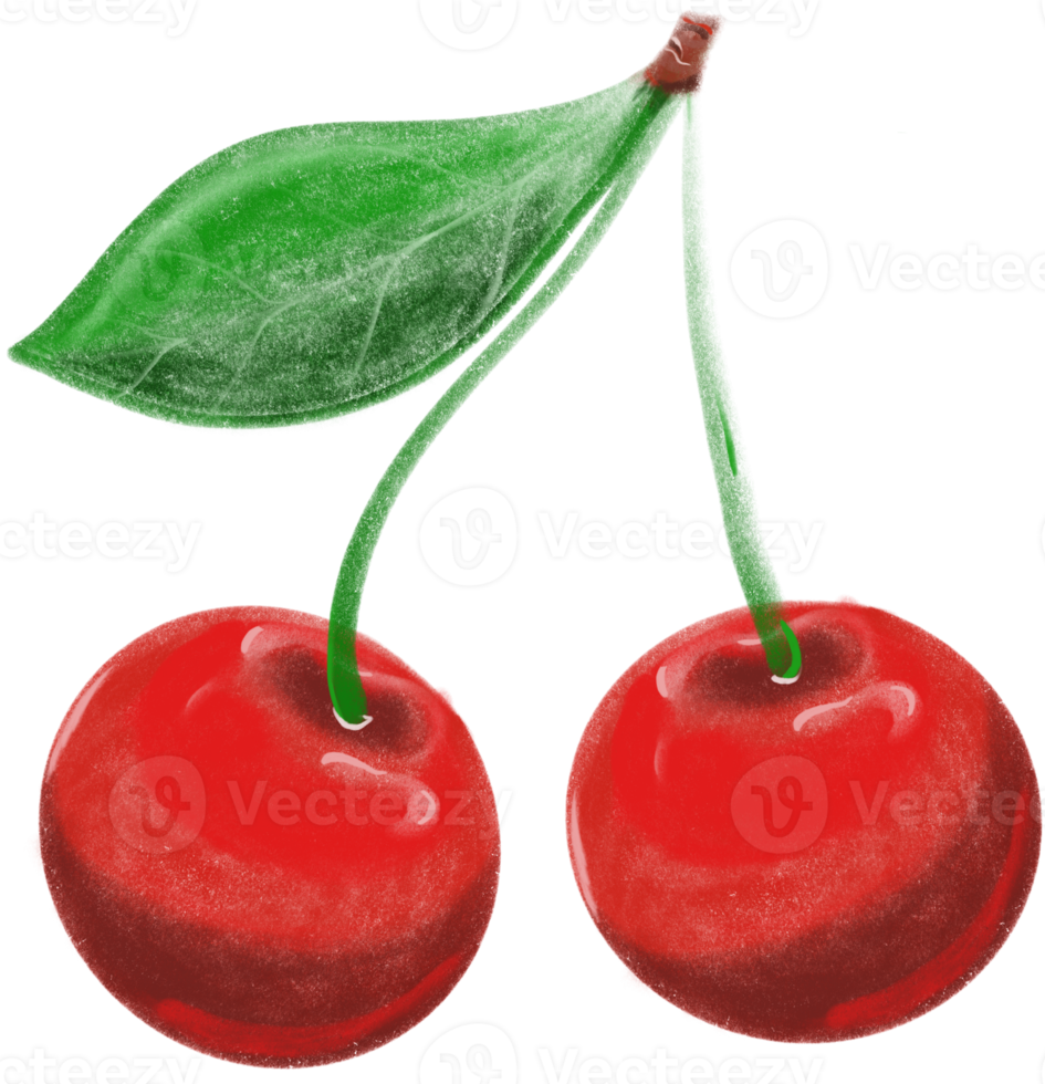 Ripe, bright cherry hand drawn png