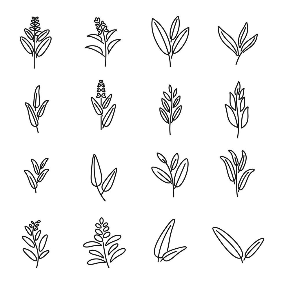 Sage icons set outline vector. Flower leaf vector