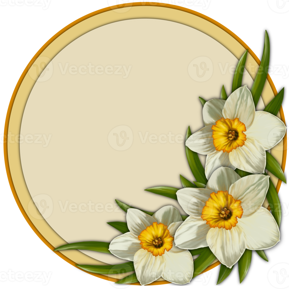 Bright daffodils, round frame with empty space, copy space png