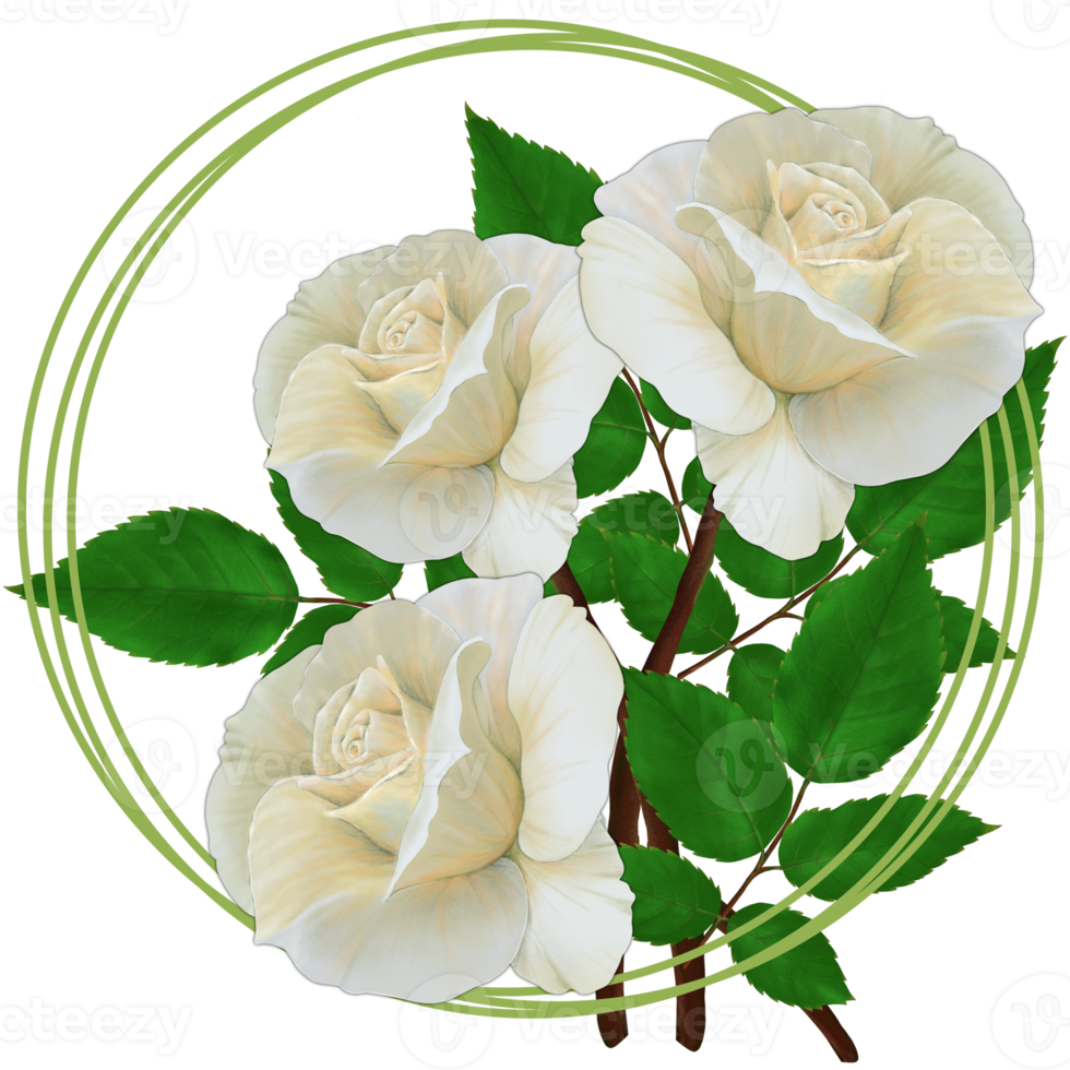 Bouquet of white roses, round card postcard on transparent background png