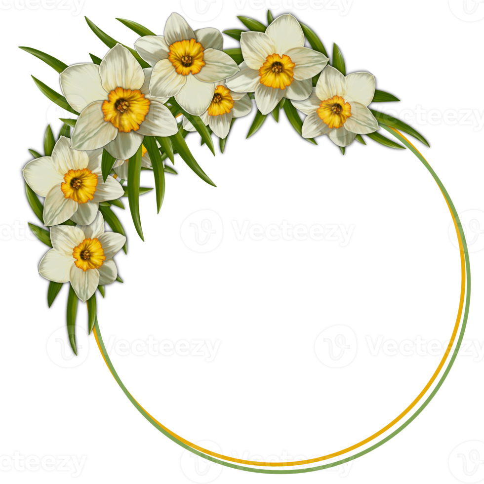 rond frame met lentebloemen, een boeket narcissen op een transparante achtergrond png