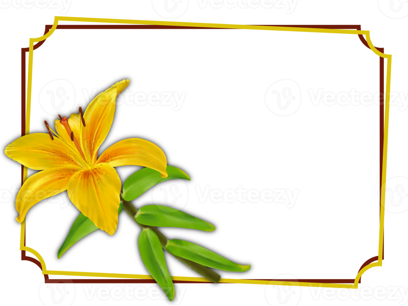 fiore di giglio giallo, cornice quadrata con uno spazio vuoto per la copia su uno sfondo trasparente png