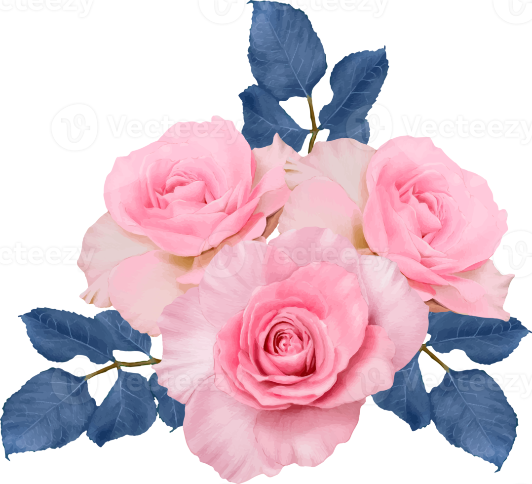 Pink Rose flowers watercolor dranwing transparency background.Floral object png