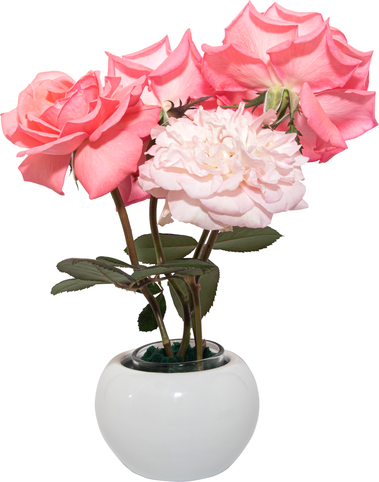 Pink rose flowers in vase transparency background. 8848129 PNG