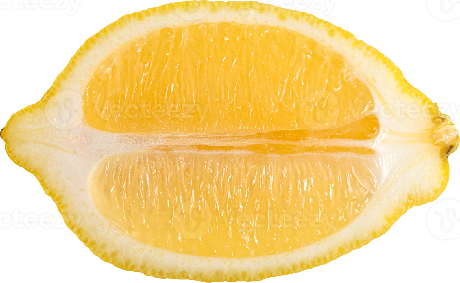 Half lemon fruit sliced on transparancy background.Fruit object.Top view png