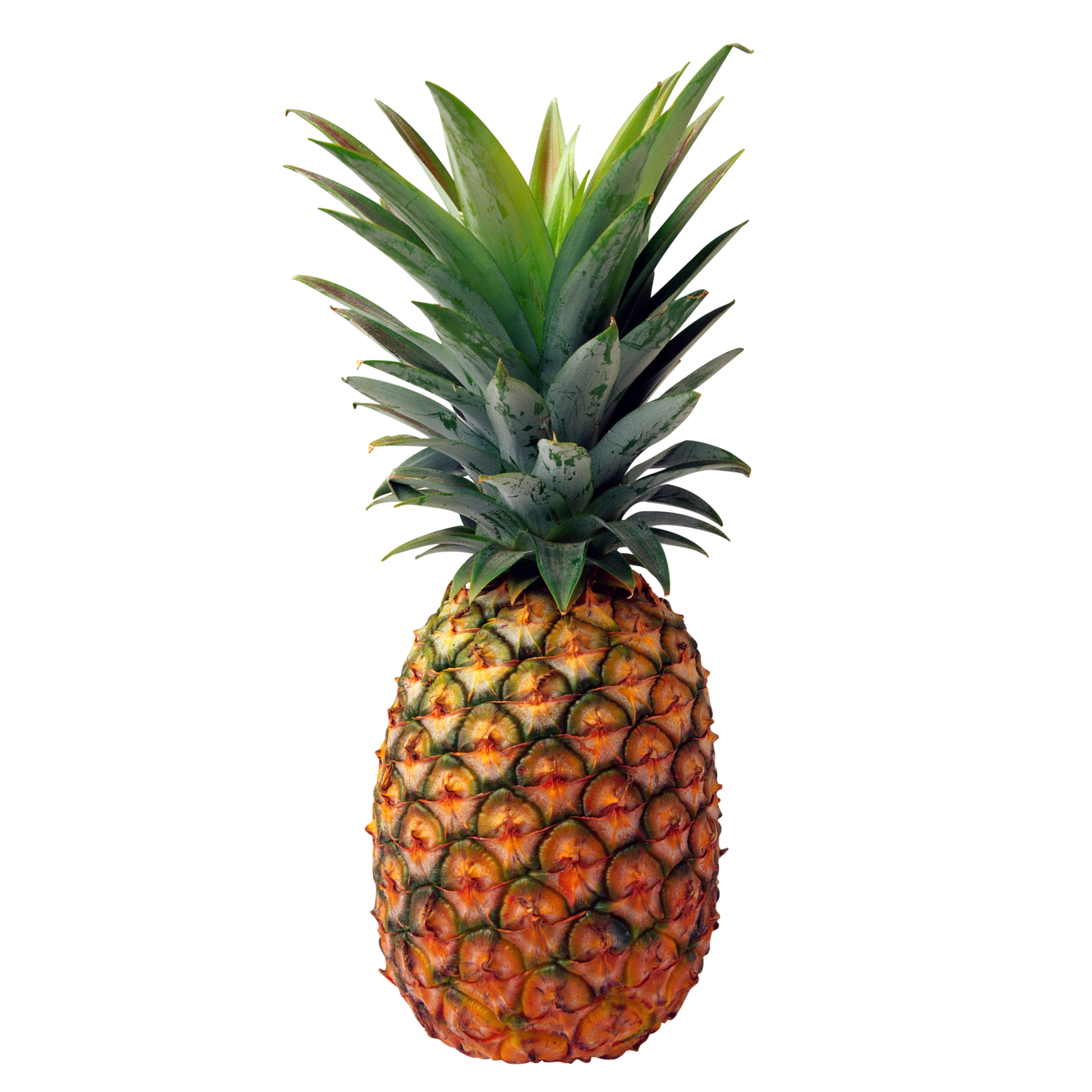 pineapple transparent