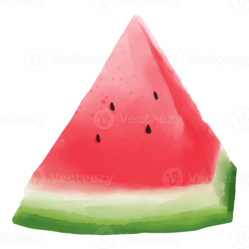 Watercolor sliced watermelon, Hand painted fruit clipart png