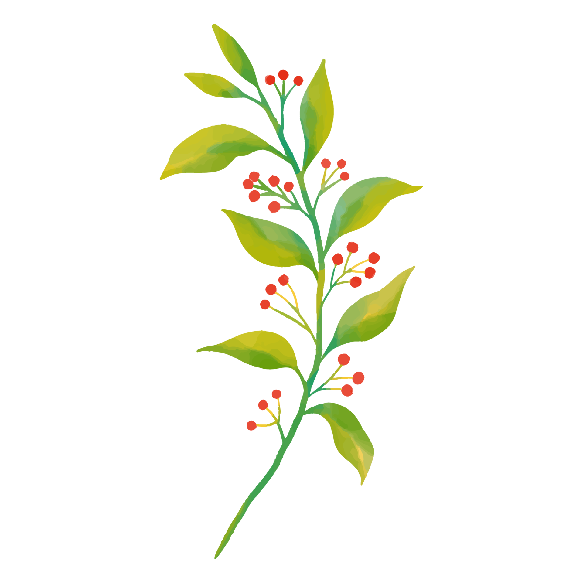 Watercolor Leaf and Flower, Green leaves clipart 8848787 PNG