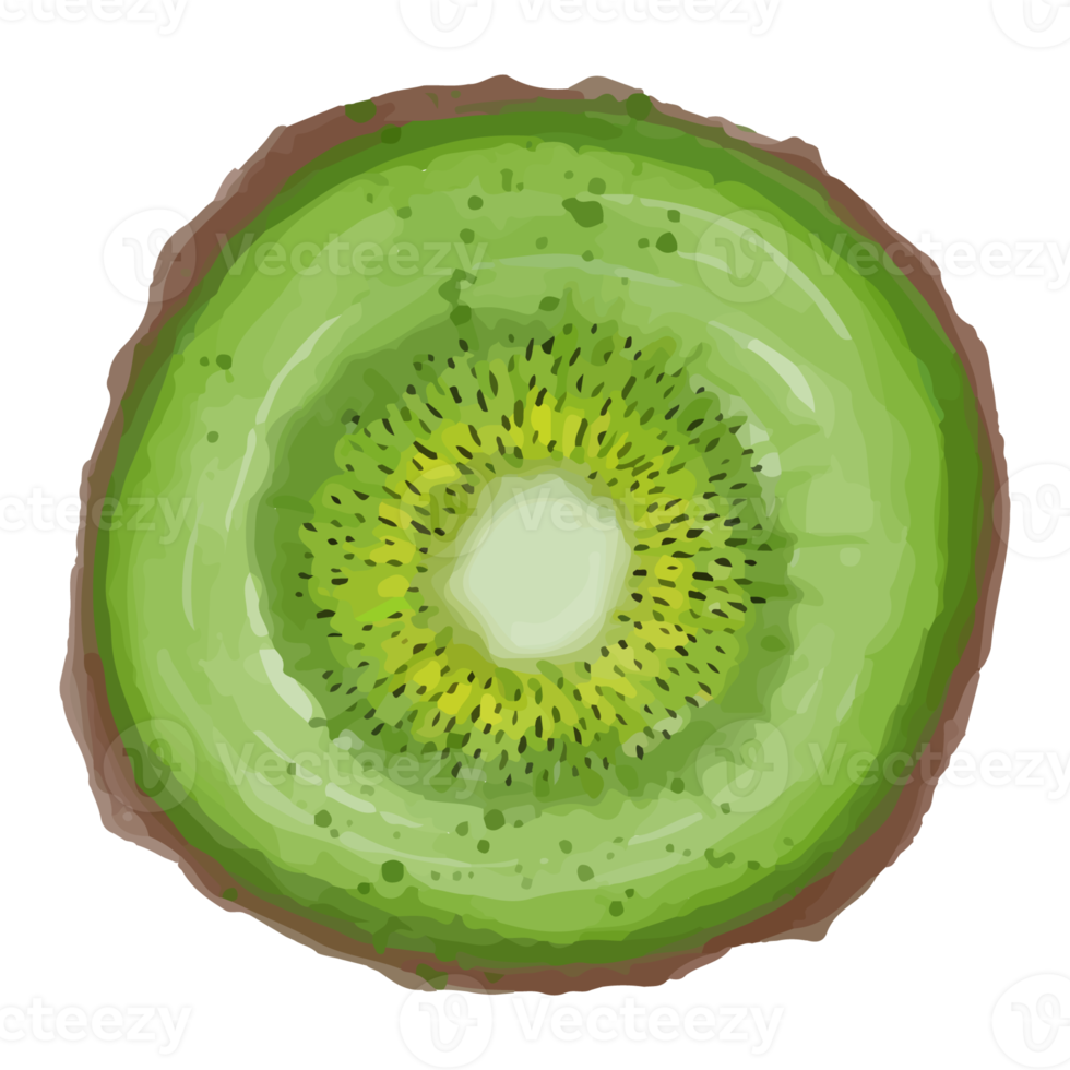 aquarell geschnittene kiwi, handgemalte obst clipart png