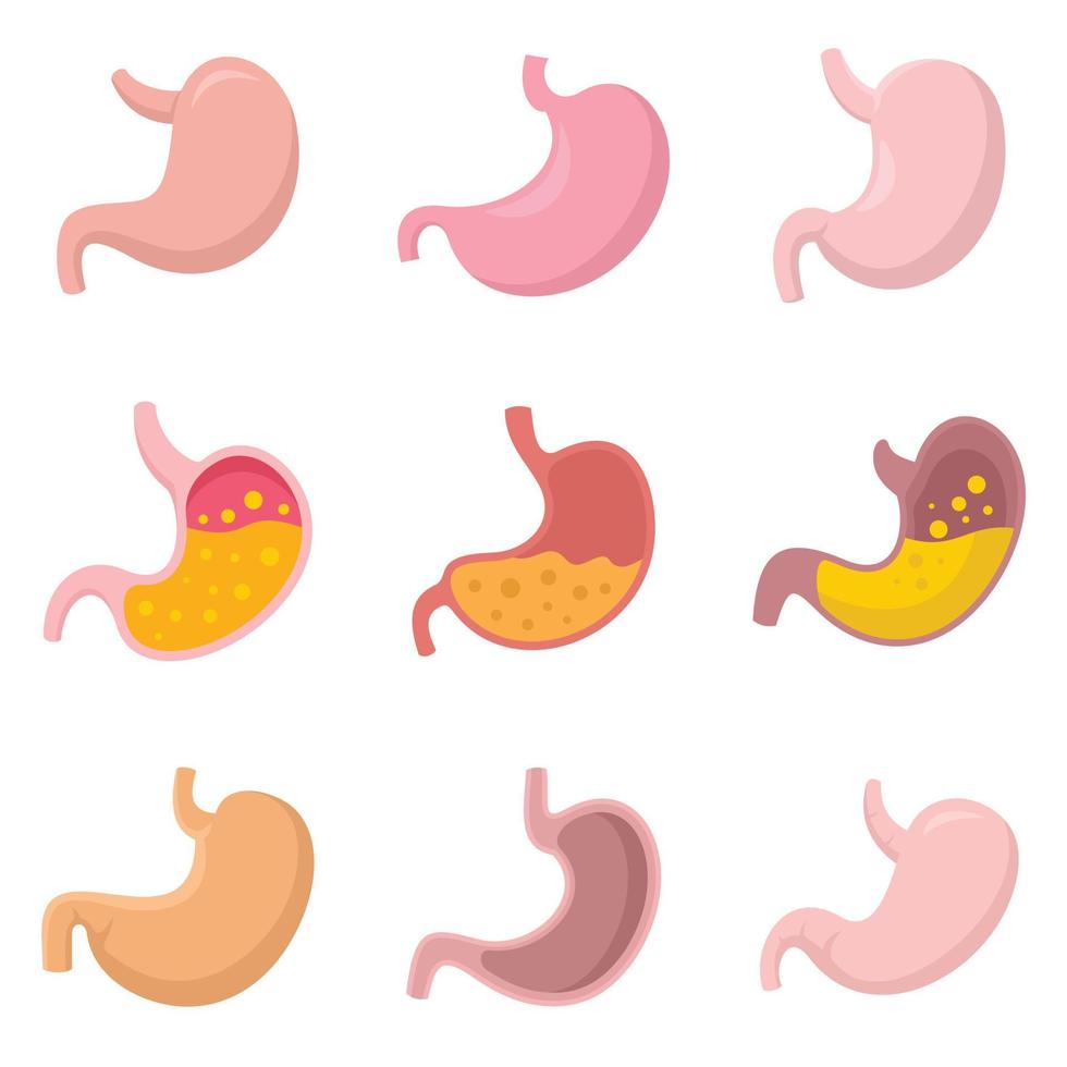 Stomach icons set flat vector isolated