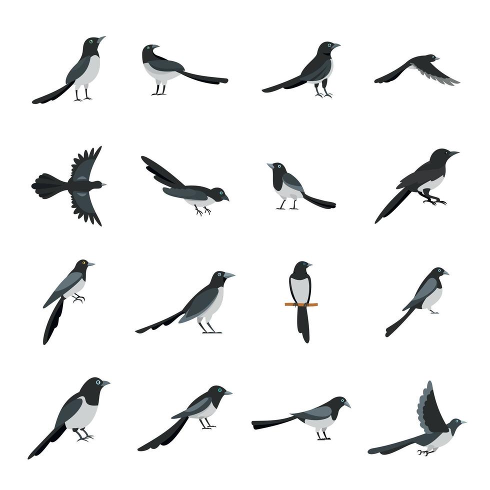 Magpie crow bird icons set flat style vector