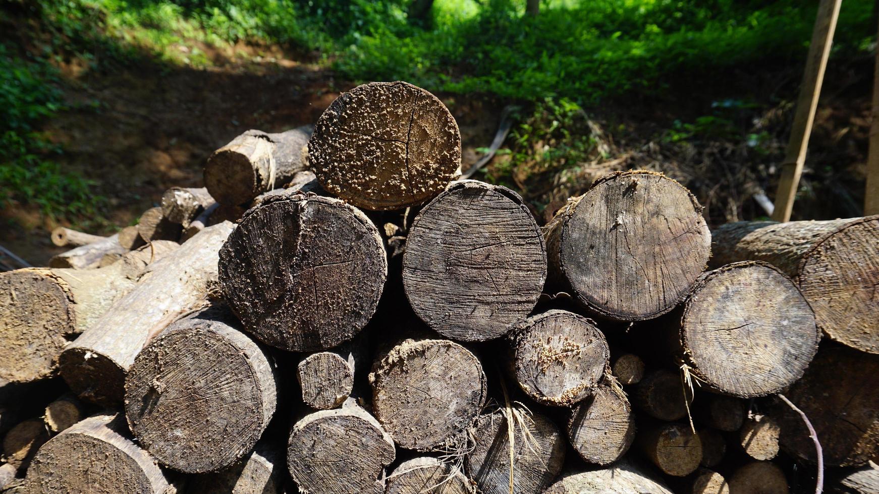 Natural wood background - closeup of chopped firewood. Firewood is stacked and prepared for the winter pile of logs. photo