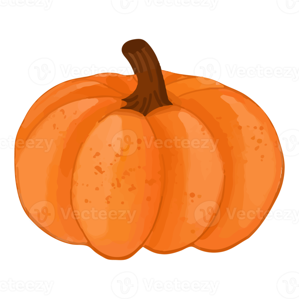 akvarell pumpa, handmålad dekoration clipart png