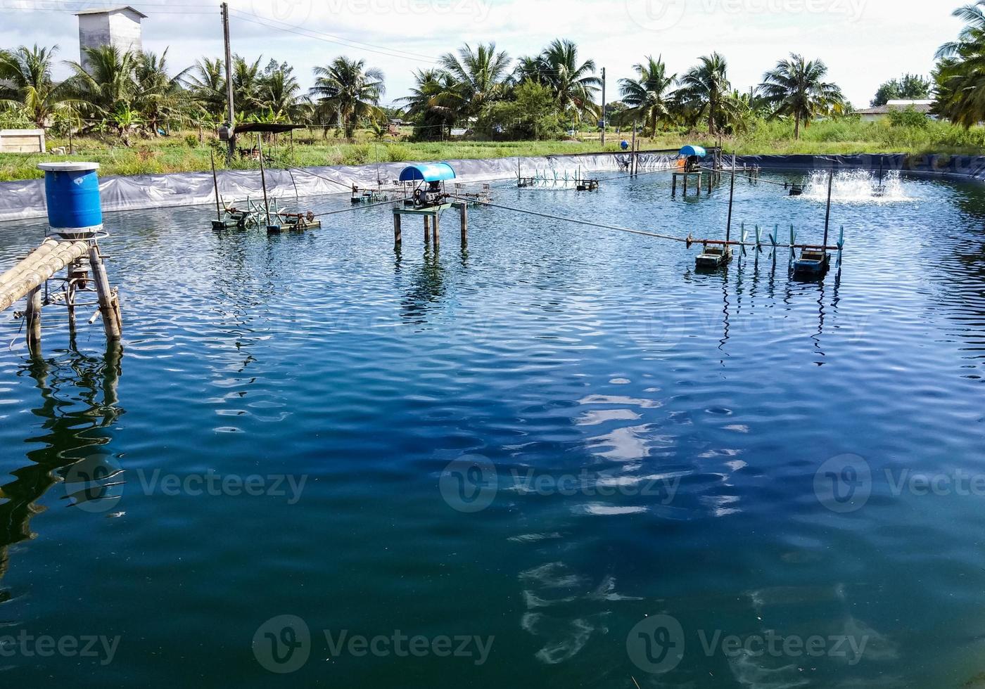 The Shrimp ponds photo