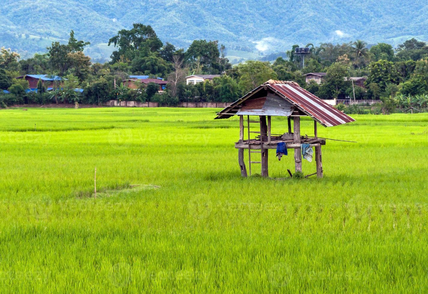 Old wooden hut photo