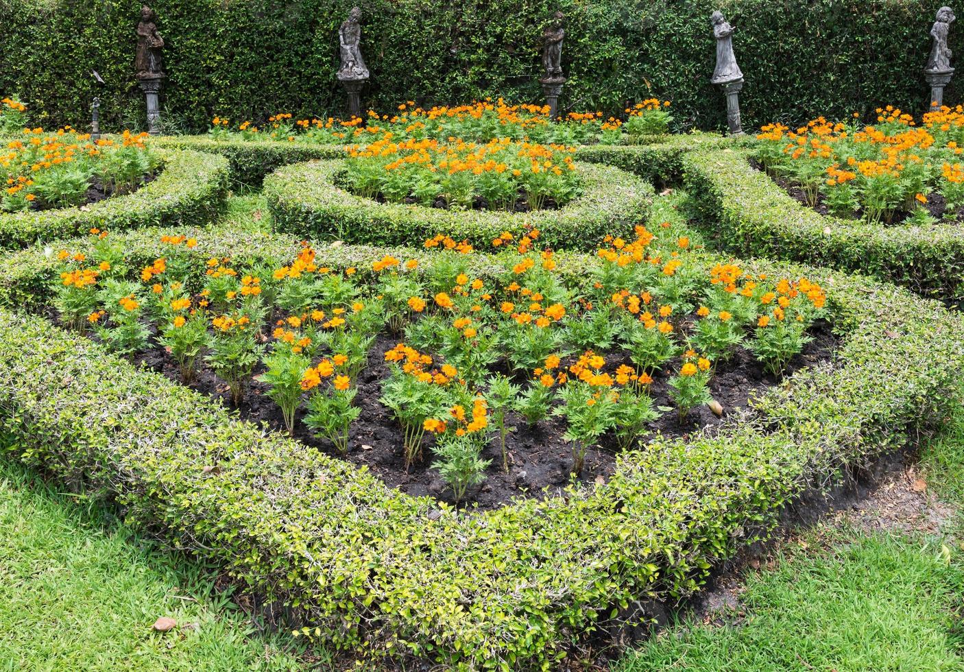 Heart shaped of the shrub. photo