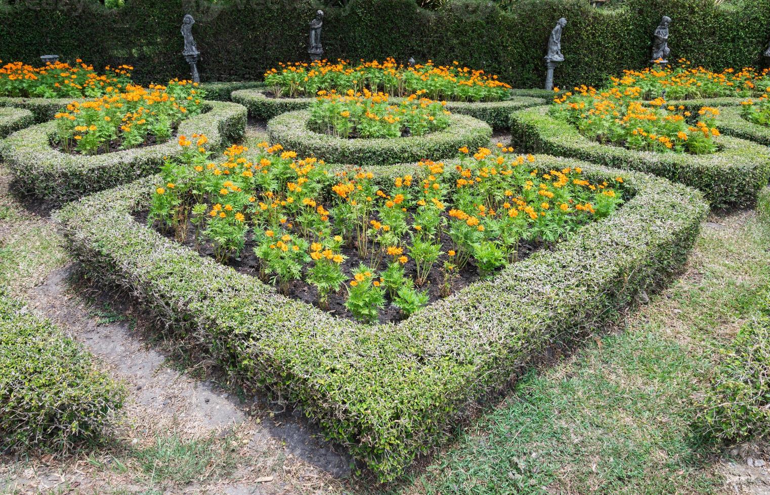 Heart shaped maze photo