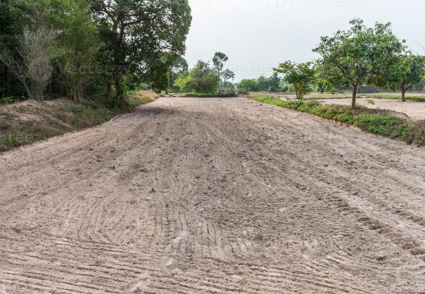 The sandy soil was plowing for ready to cultivation. photo
