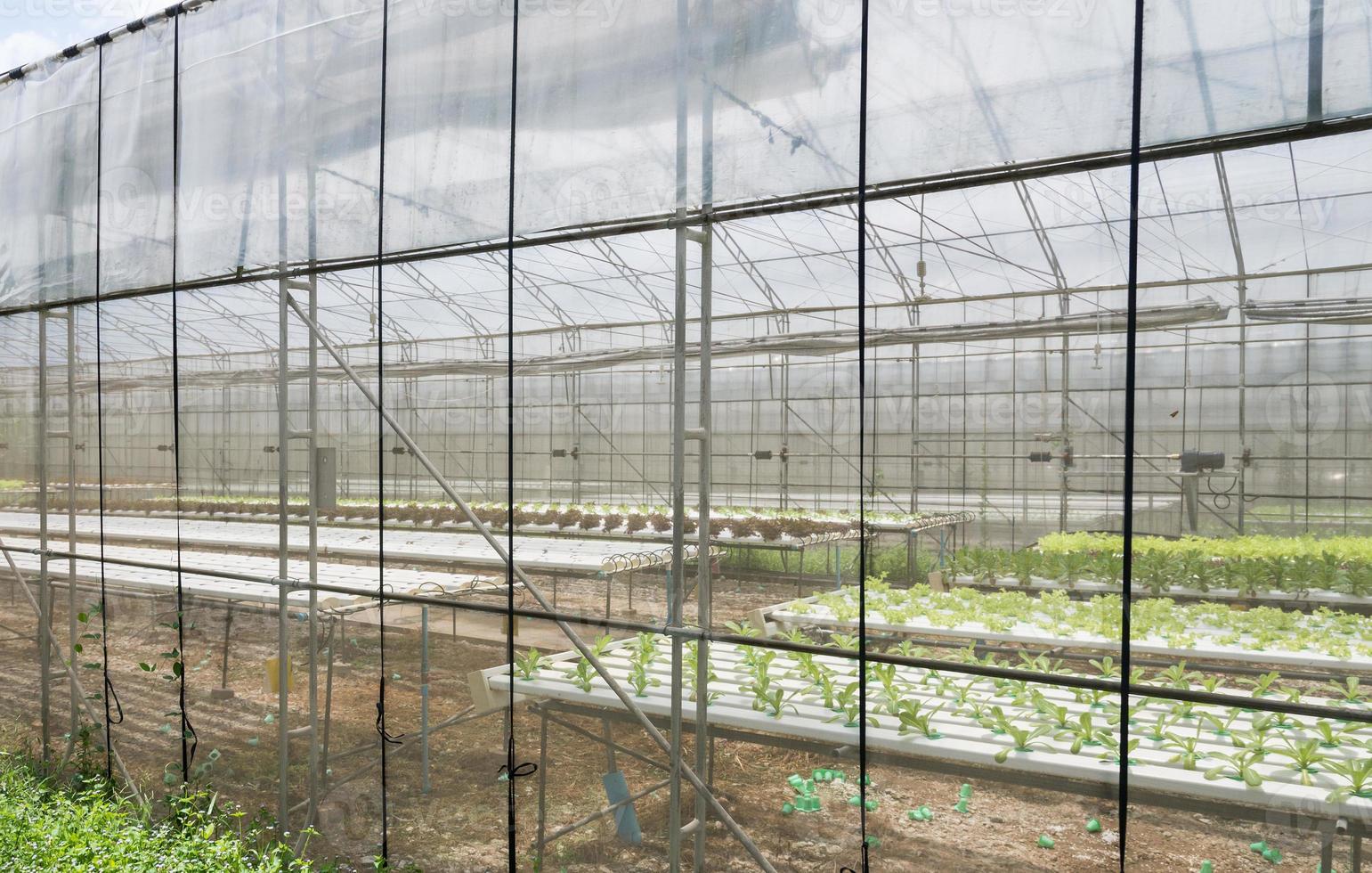 The Greenhouse building photo