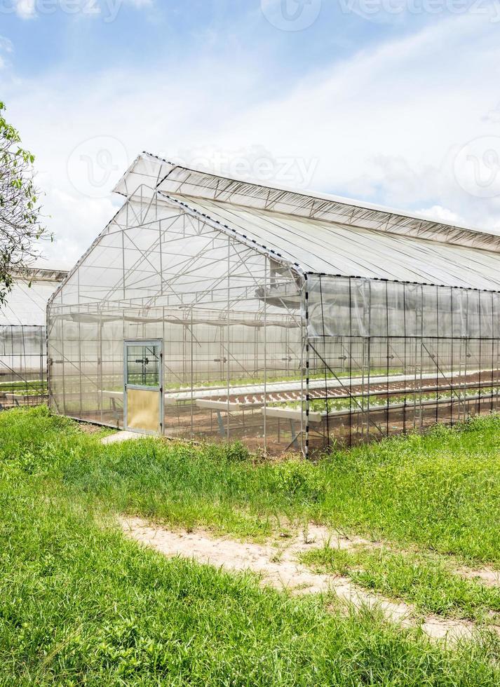 The Light greenhouse photo