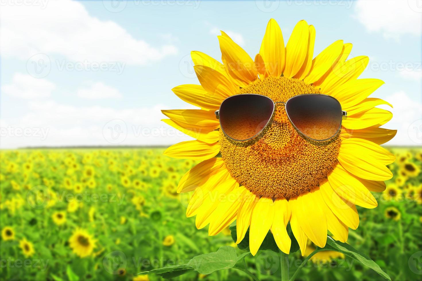 Funny sunflower with sunglasses on a blue sky photo