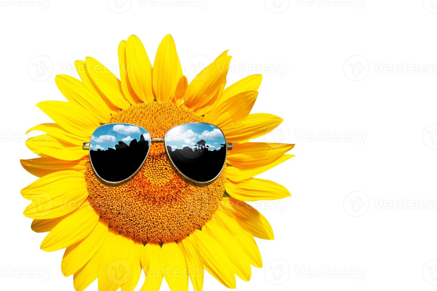 girasol divertido con gafas de sol sobre un fondo blanco foto