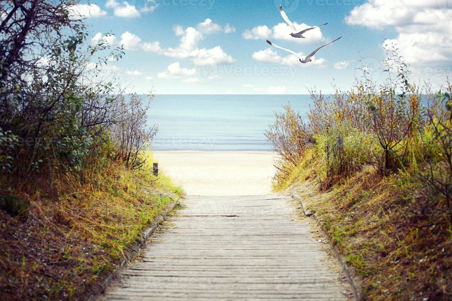 Stormy baltic sea and beach with coastal dunes. photo