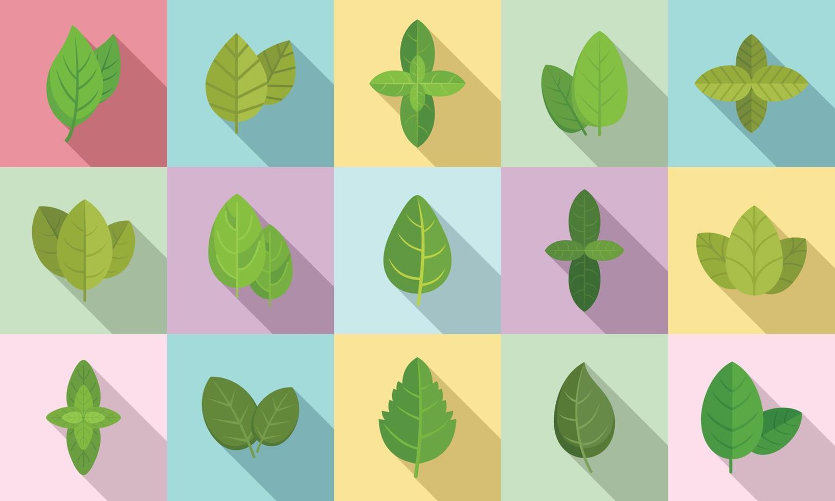 Basil icons set flat vector. Agriculture aroma leaf vector