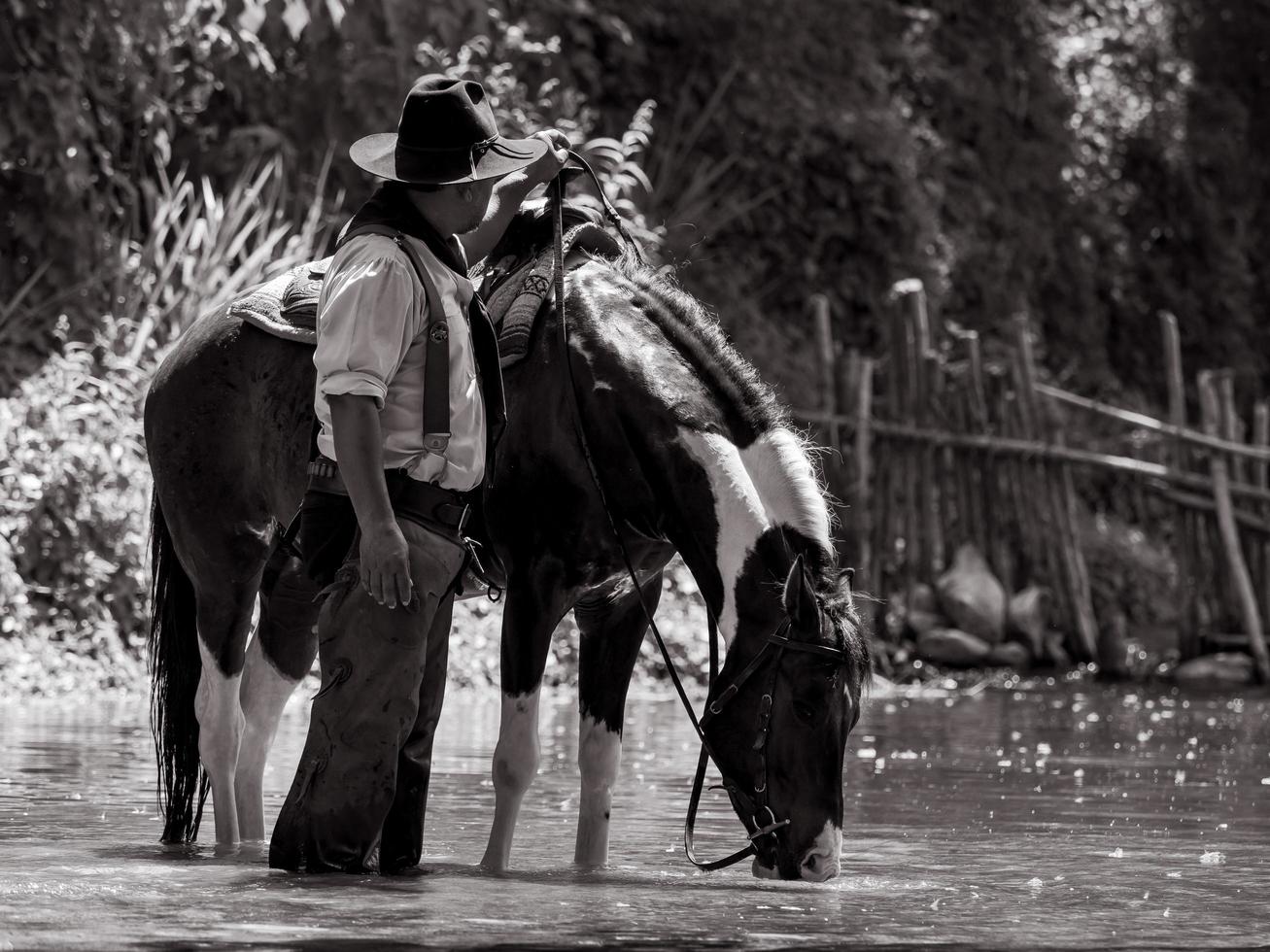 Senior cowboys resting with horses and stood to bathe in the river photo