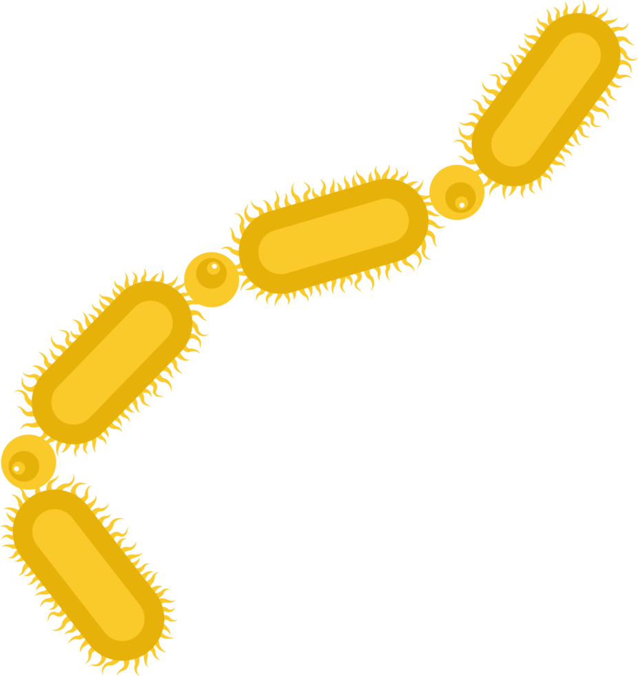 ClipArt di microrganismi microscopici png