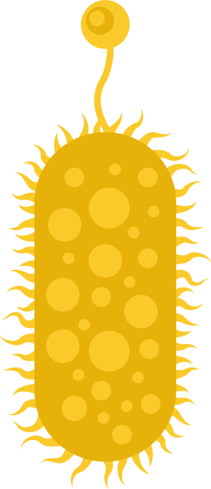 clipart de micro-organisme microscopique png