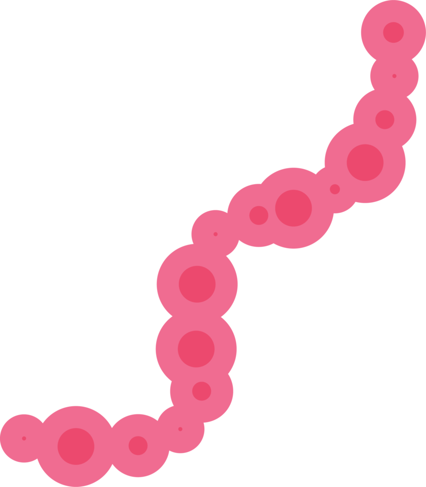 imágenes prediseñadas de microorganismos microscópicos png