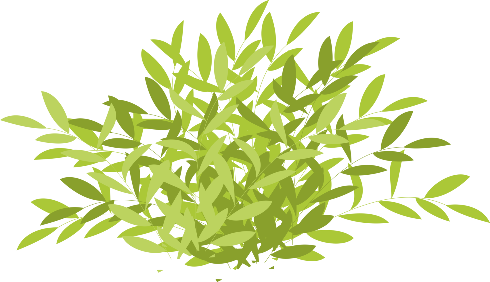 bush, green bush png