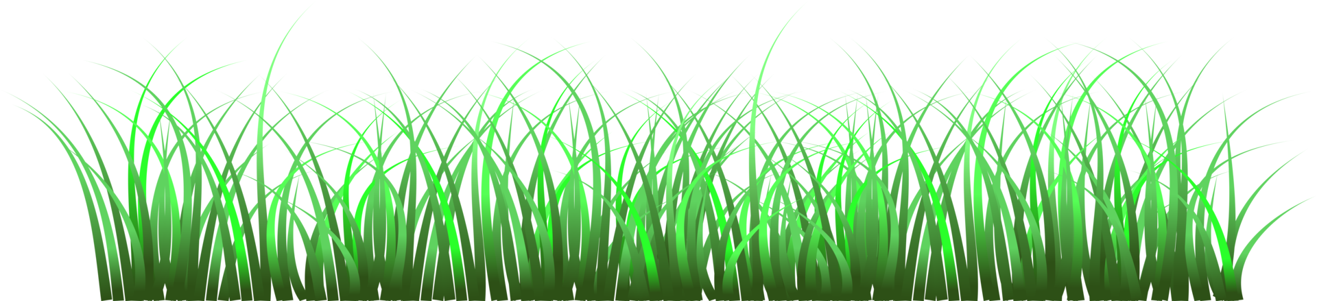 grass, green grass png