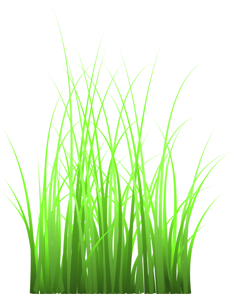 gras, groen gras, png