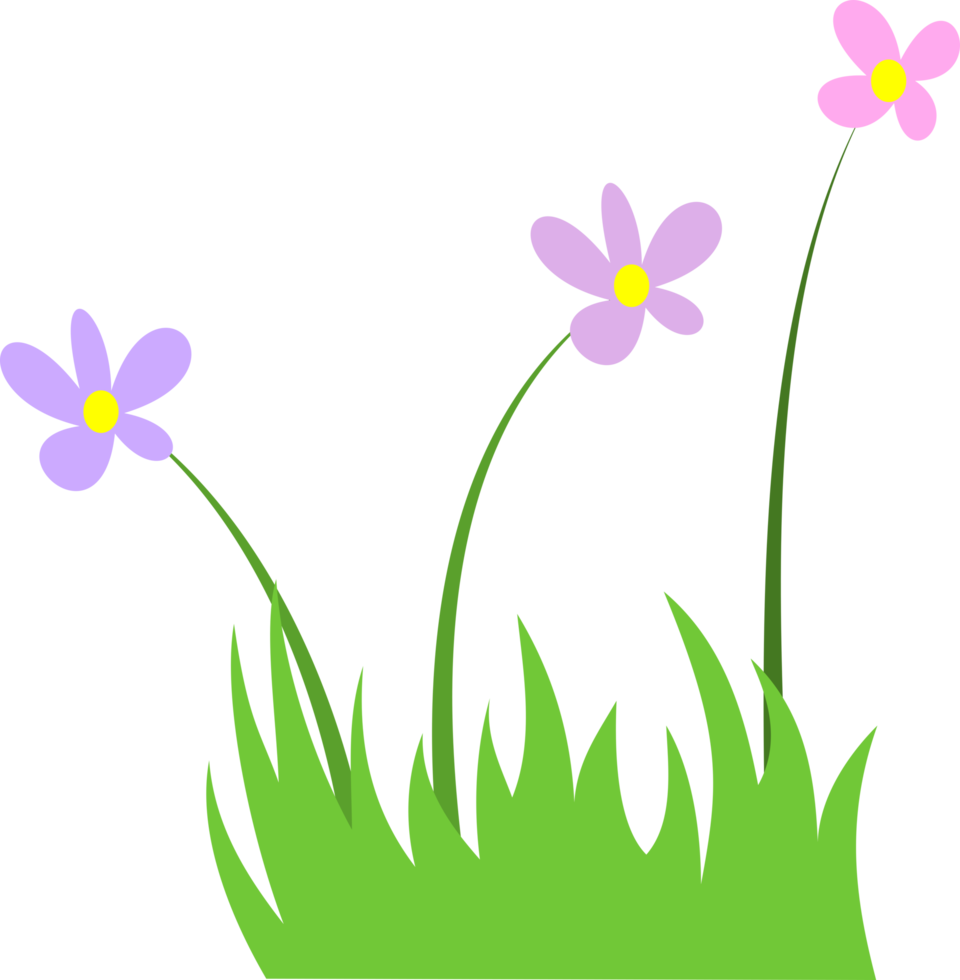 fleur d'herbe png