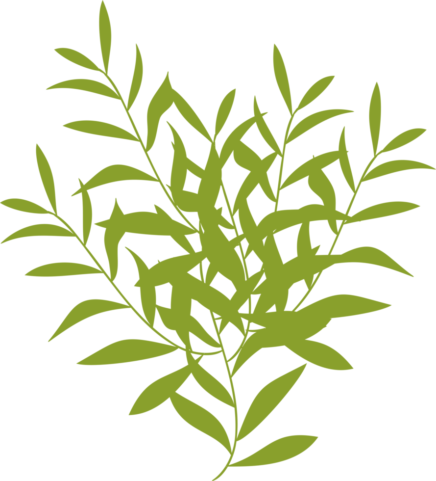 bush, green bush png