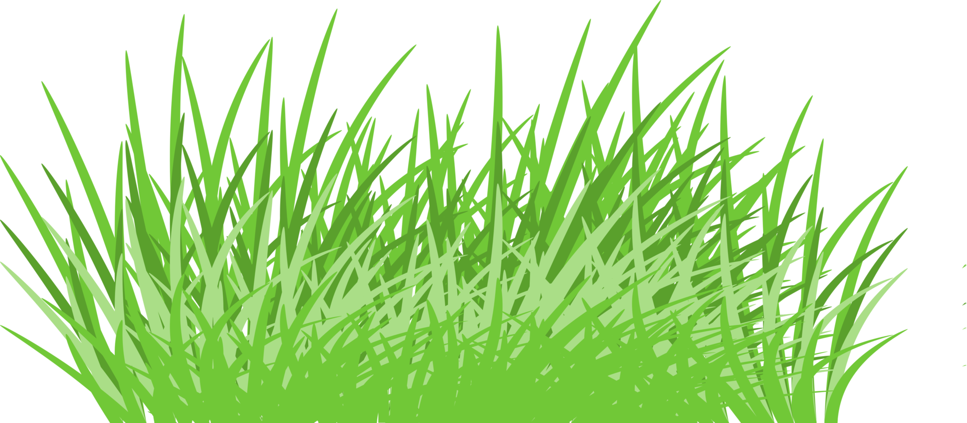 green grass png 8853913 PNG