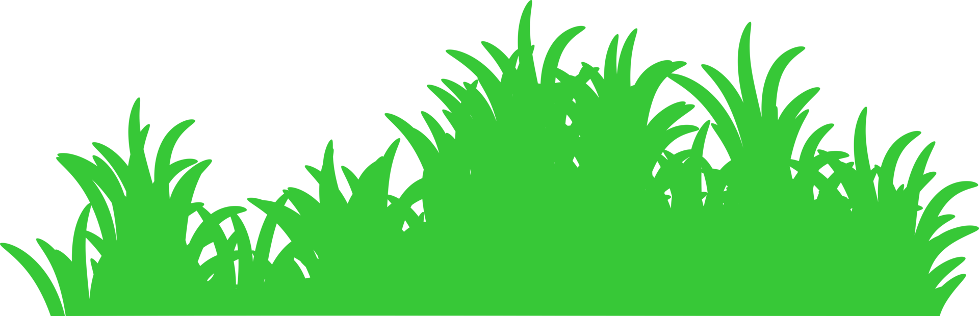 grass, green grass png