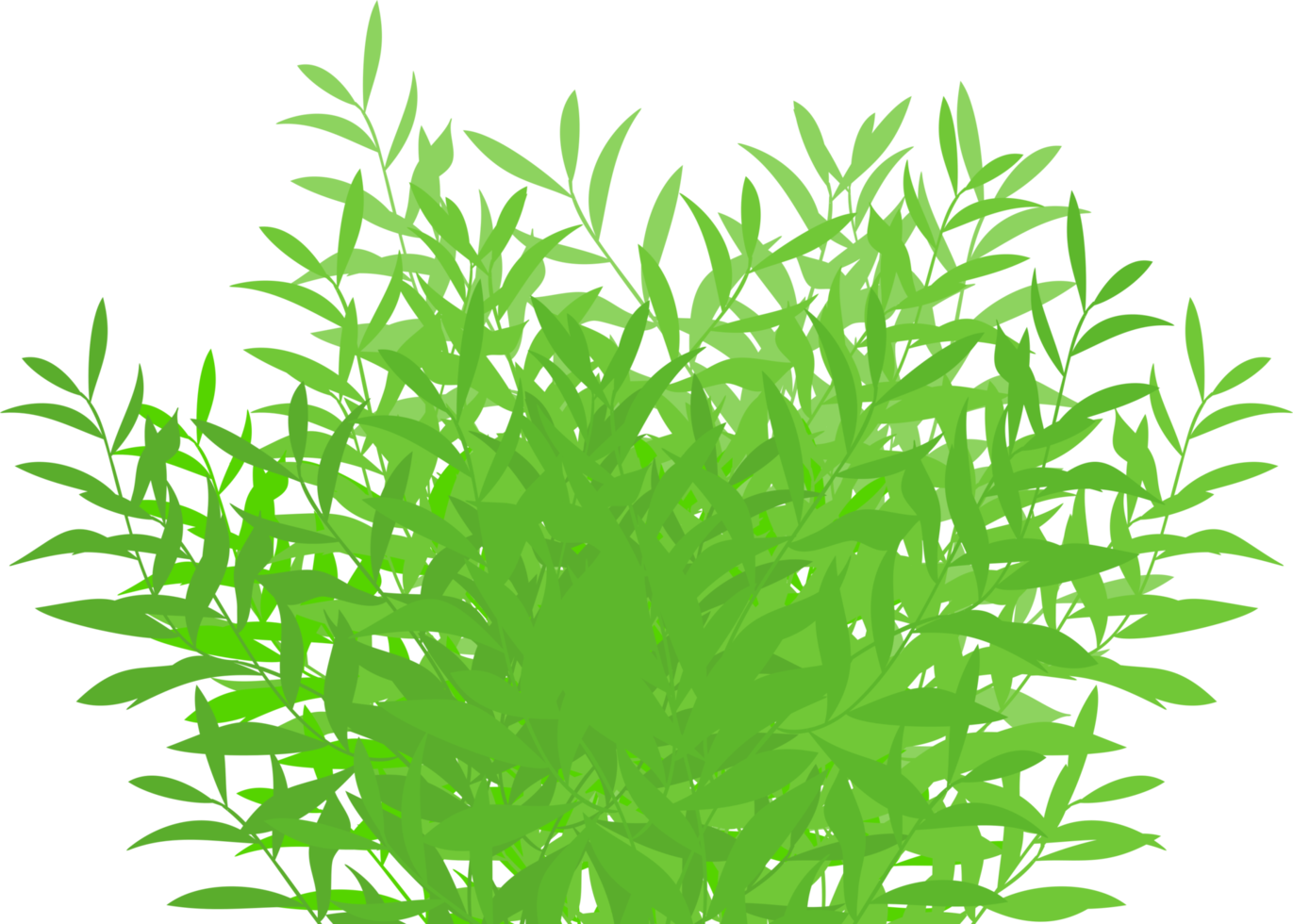 bush, green bush png